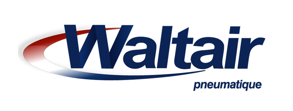 Waltair